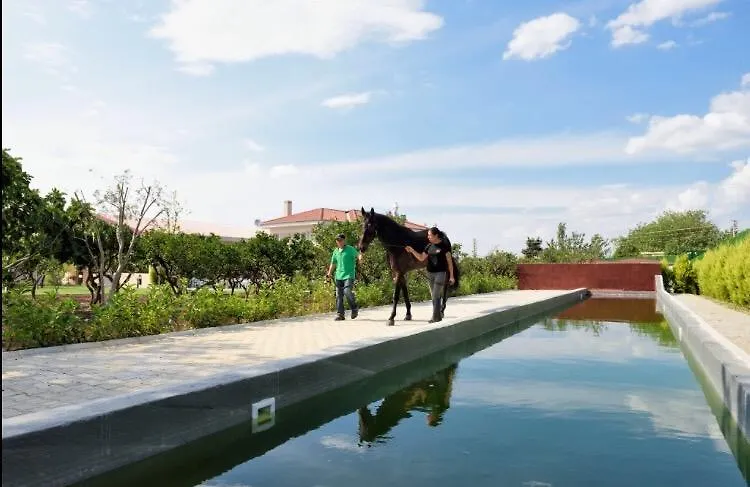 Farm stay B. Equine Range Hotel Narlidere
