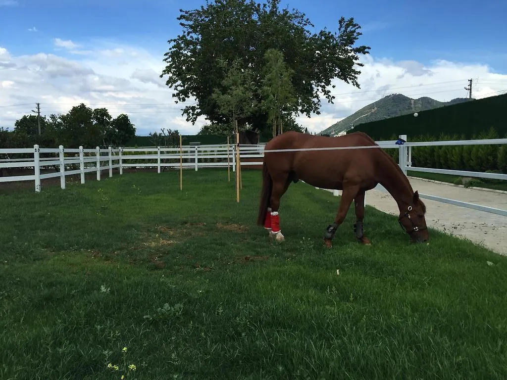 B. Equine Range Hotel Narlidere Farm stay